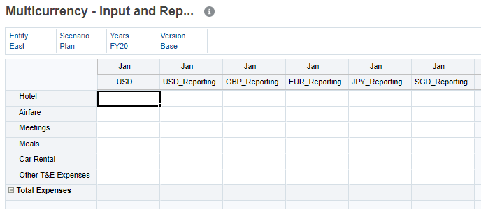 Multicurrency - Input and Reporting form